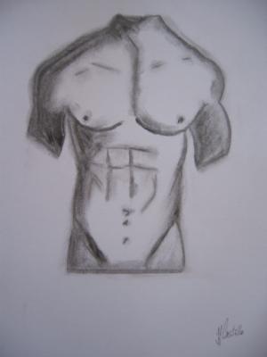 Torso Masculino