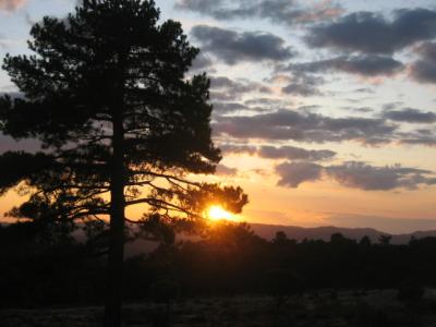 Atardecer